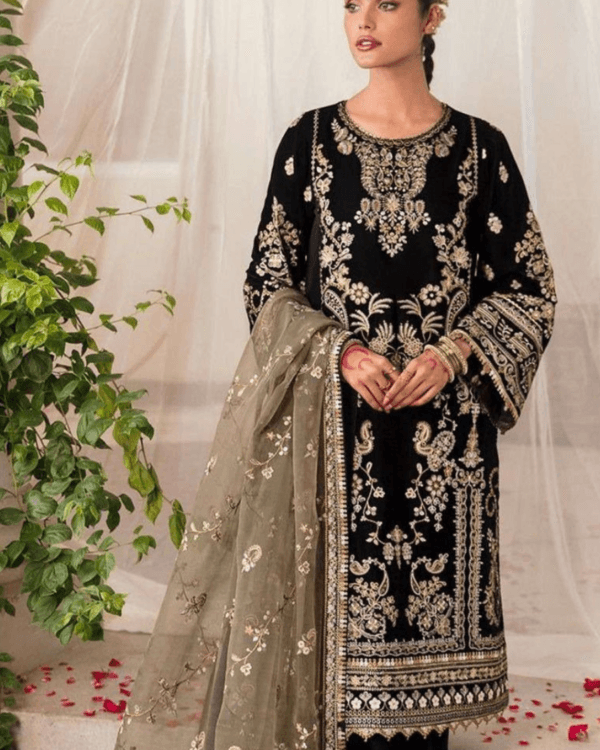 Best Velvet Pakistani Style Salwar Suit For Wedding