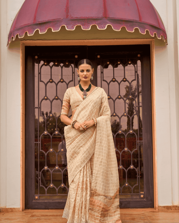 Pure Silk Tissue Saree For Women