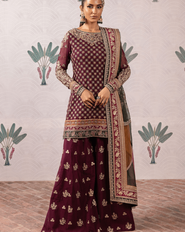 Buy Red Pakistani Sharara Suit Set For Womens Online in India