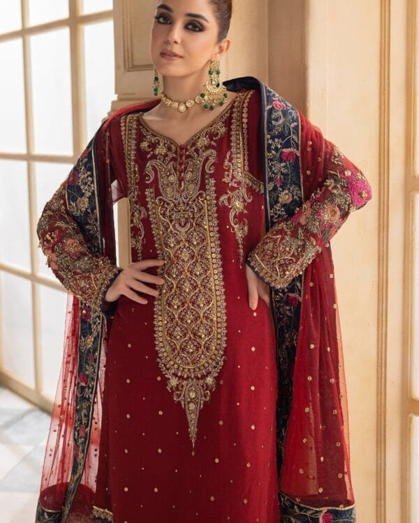 Red Velvet Salwar Suit Set