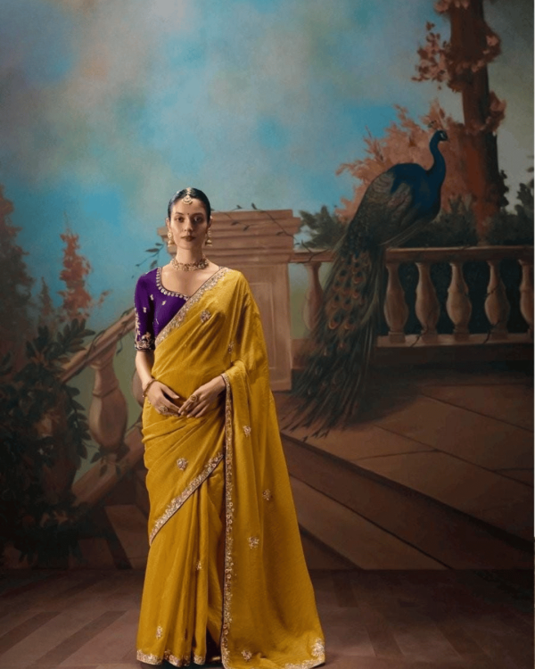 Party Wear Saree – Stylish Fancy Design